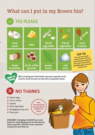 What can I put in my brown bin?