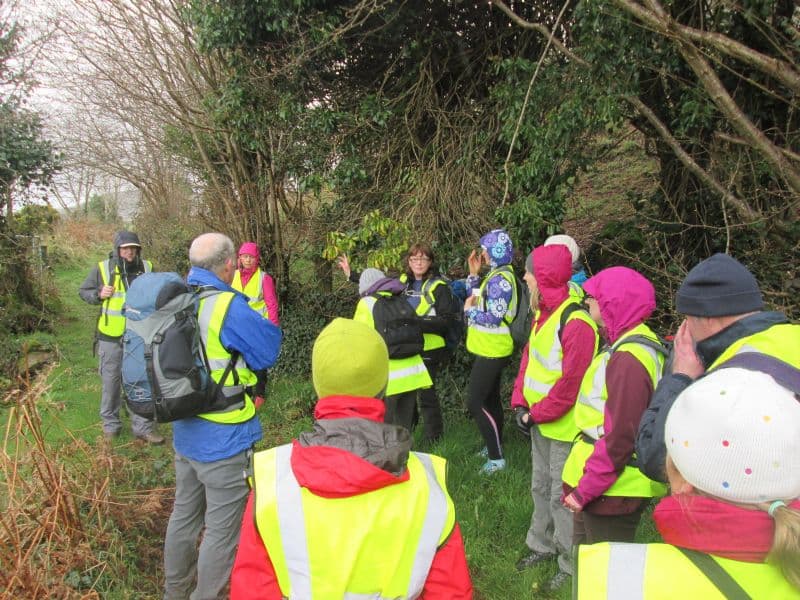 Walkers Put Their Best Foot Forward In The Ring Of Gullion