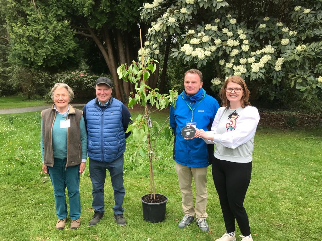 Council Hosts the International Dendrology Society in Castlewellan Forest Park