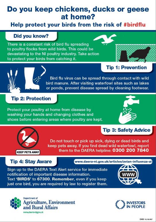Avian Influenza - Advice and Precautions