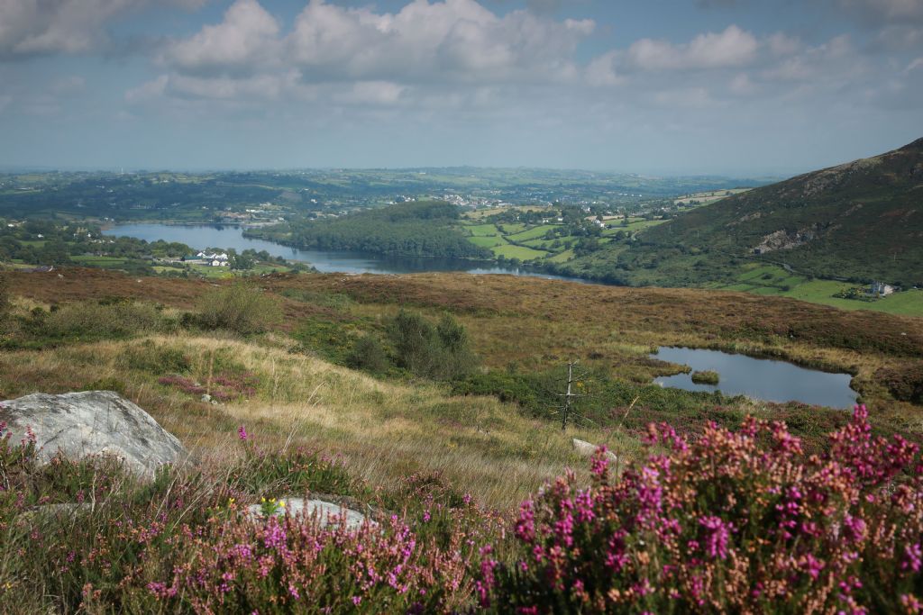Newry, Mourne and Down District Council to Address Planning Backlog