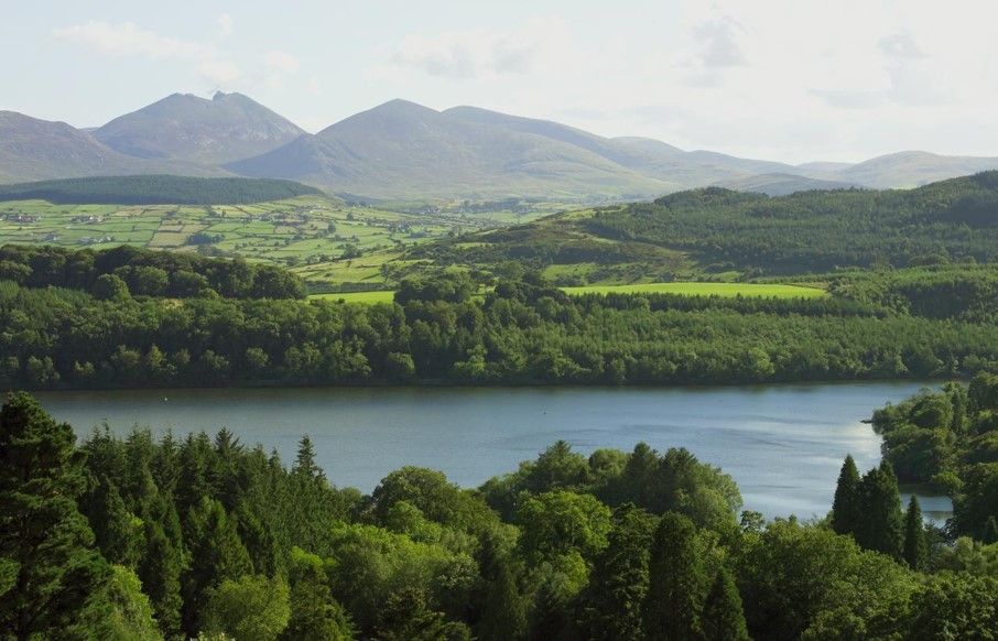 Exciting Developments Announced at Castlewellan Forest Park