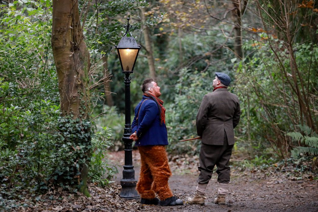 Plans for an Immersive Narnia Trail Experience at Kilbroney Forest Park to be Developed by Counci