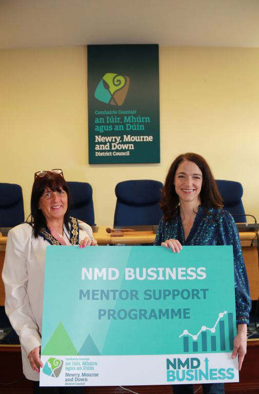 Council Launches New Mentor Support Programme to Promote Business Growth in the Local Area.