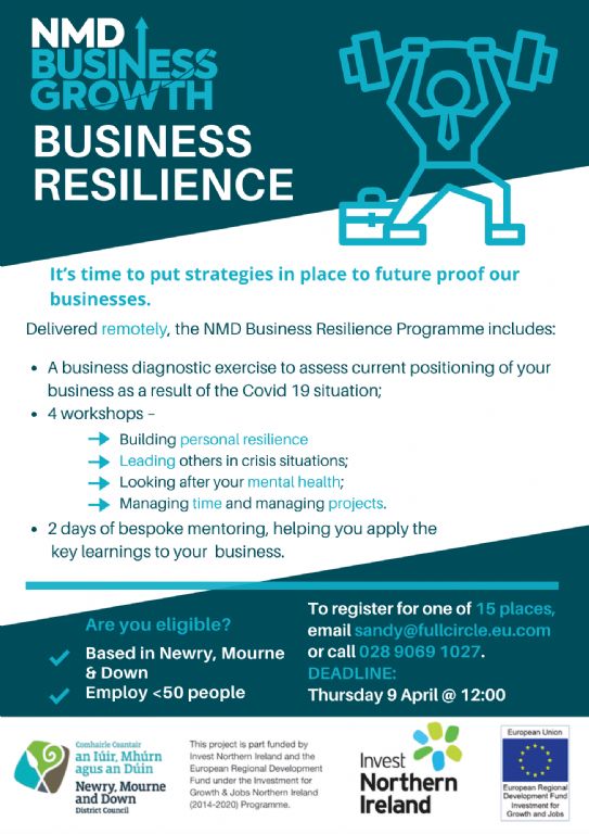 nmd business resilience final flyer.PNG