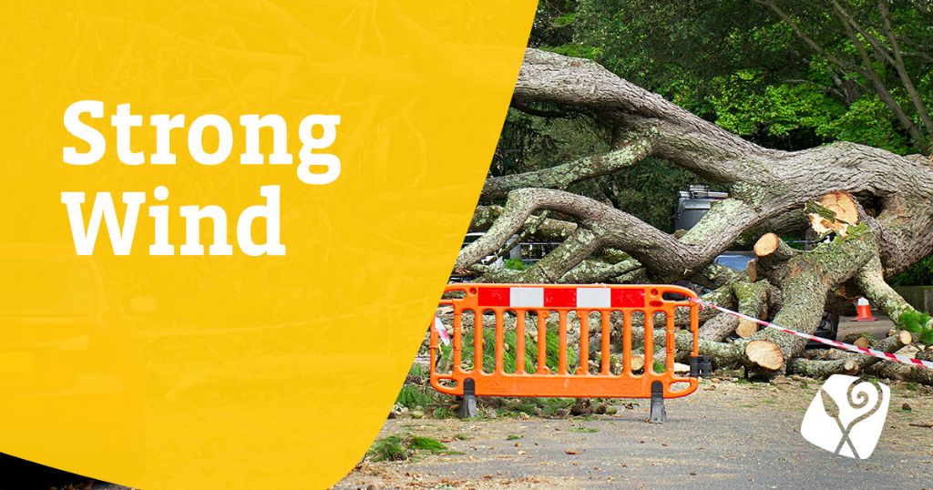 Public Notice-Yellow Weather Warning-Storm Agnes