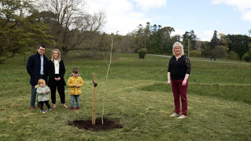 Council Chairperson Plants Oak Trees Across District Electoral Areas to Recognise Community Spirit during COVID-19  