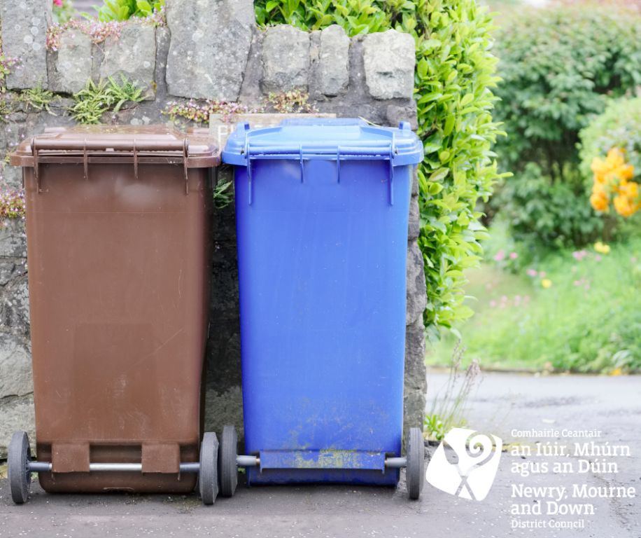 Council Launches New Online Bin Calendar For 2023/24