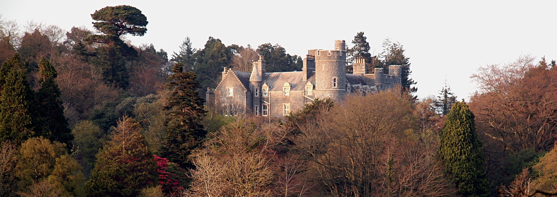 HP Banner Castlewellan
