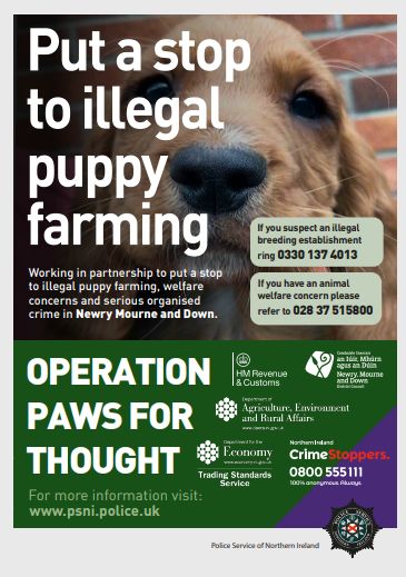Paws for Thought’ campaign aims to raise awareness around illegally bred dogs