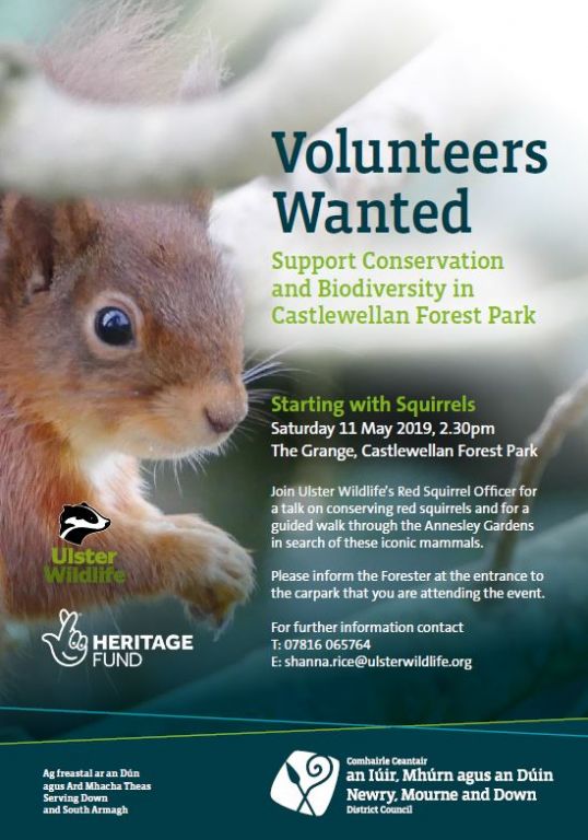 Volunteers Wanted to Help Support Biodiversity and Conservation at Castlewellan Forest Park