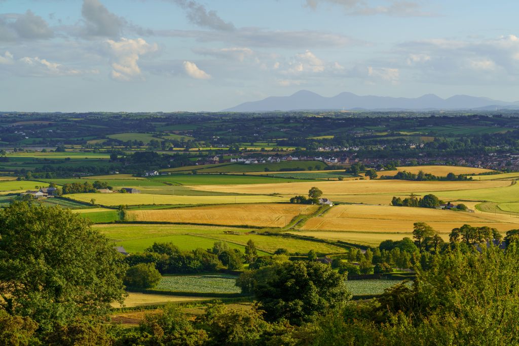 Annual Call for Ring of Gullion AONB Partnership New Members