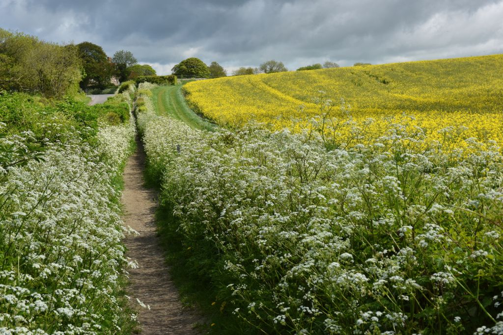 FREE Farm Plans Extend to Cover all of the Aspiring Geopark