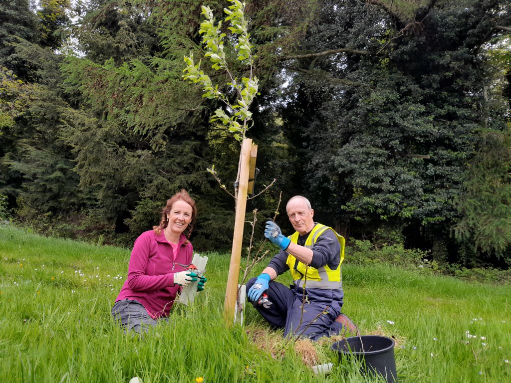 Newcastle Community Orchard – A Fruitful Benefit For Everyone